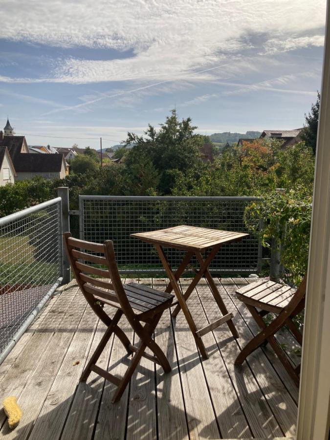 3 Zi Wohnung Haustiere Willkommen Im Markgraeflerland Dreilaendereck Schliengen Exterior foto